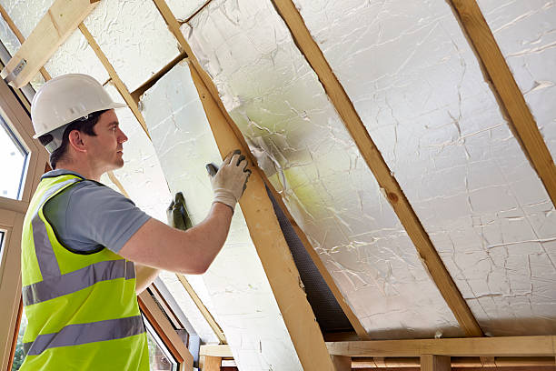Best Geographic-Specific Insulation Services in Cabool, MO